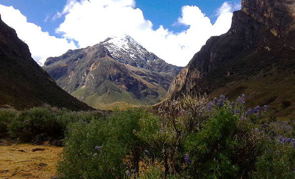 Quillcayhuanca - Cojup