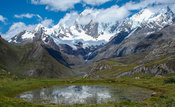 Cedros Alpamayo Ulta